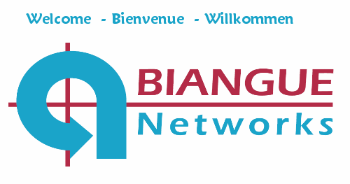 Biangue Networks : Nouvelles Technologies au Cameroun
